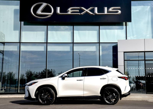 Lexus NX 2.5 AT 4WD (205 л.с.) 250 Luxury Автомобили с пробегом Шымкент  