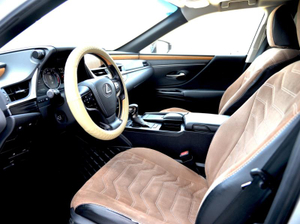 Lexus ES 2.5 AT FWD (200 л.с.) 250 Premium 28 Автомобили с пробегом Шымкент  
