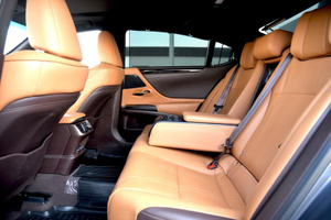 Lexus ES 2.5 AT FWD (200 л.с.) 250 Premium 28 Автомобили с пробегом Шымкент  