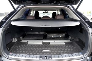 Lexus New RX 2.0 AT 4WD (238 л.с.) 300 Executive Автомобили с пробегом Шымкент  
