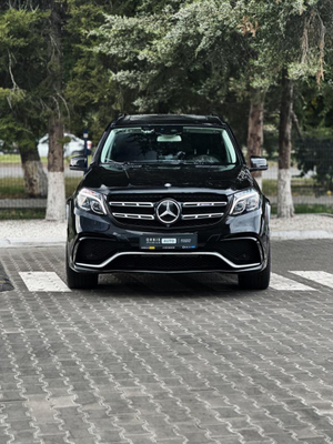 Mercedes-Benz GLS GLS 500 4MATIC 9G-TRONIC (455 л. с.) Особая серия ORBIS AUTO г. Алматы