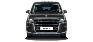 SOLLERS SP7 2.0 бензин 237 л.с. 8AT FWD Базовая Автопассаж Москва