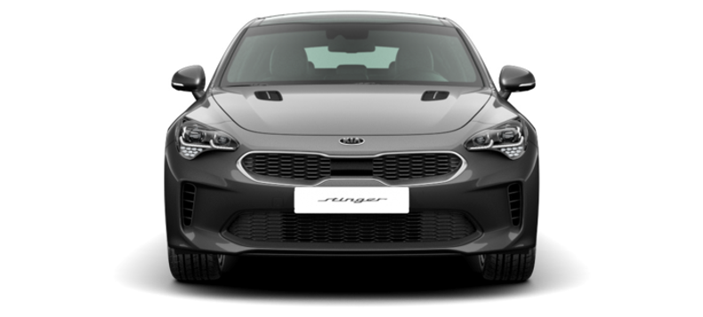 Kia Stinger 2.0 AT 4WD (247 л.с.) GT Line (Red Package) Саранскмоторс Саранск